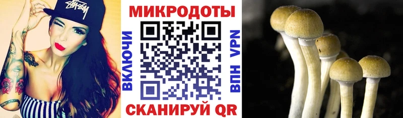 omg вход  Вышний Волочёк  Псилоцибиновые грибы мухоморы 